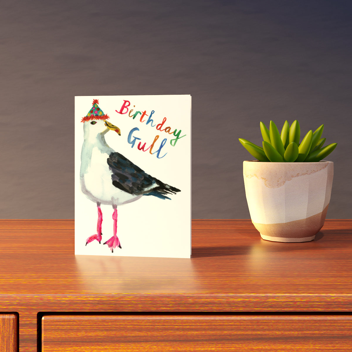Birthday Gull