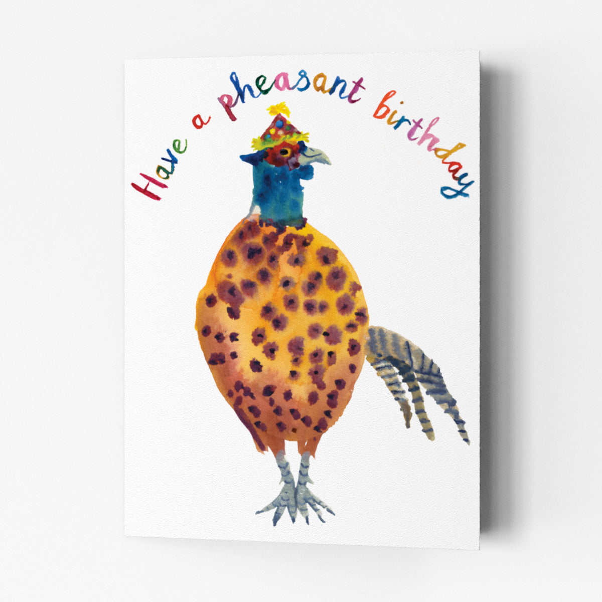 Birthday Pheasant