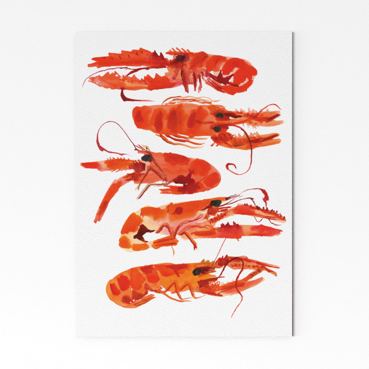 Langoustines 3