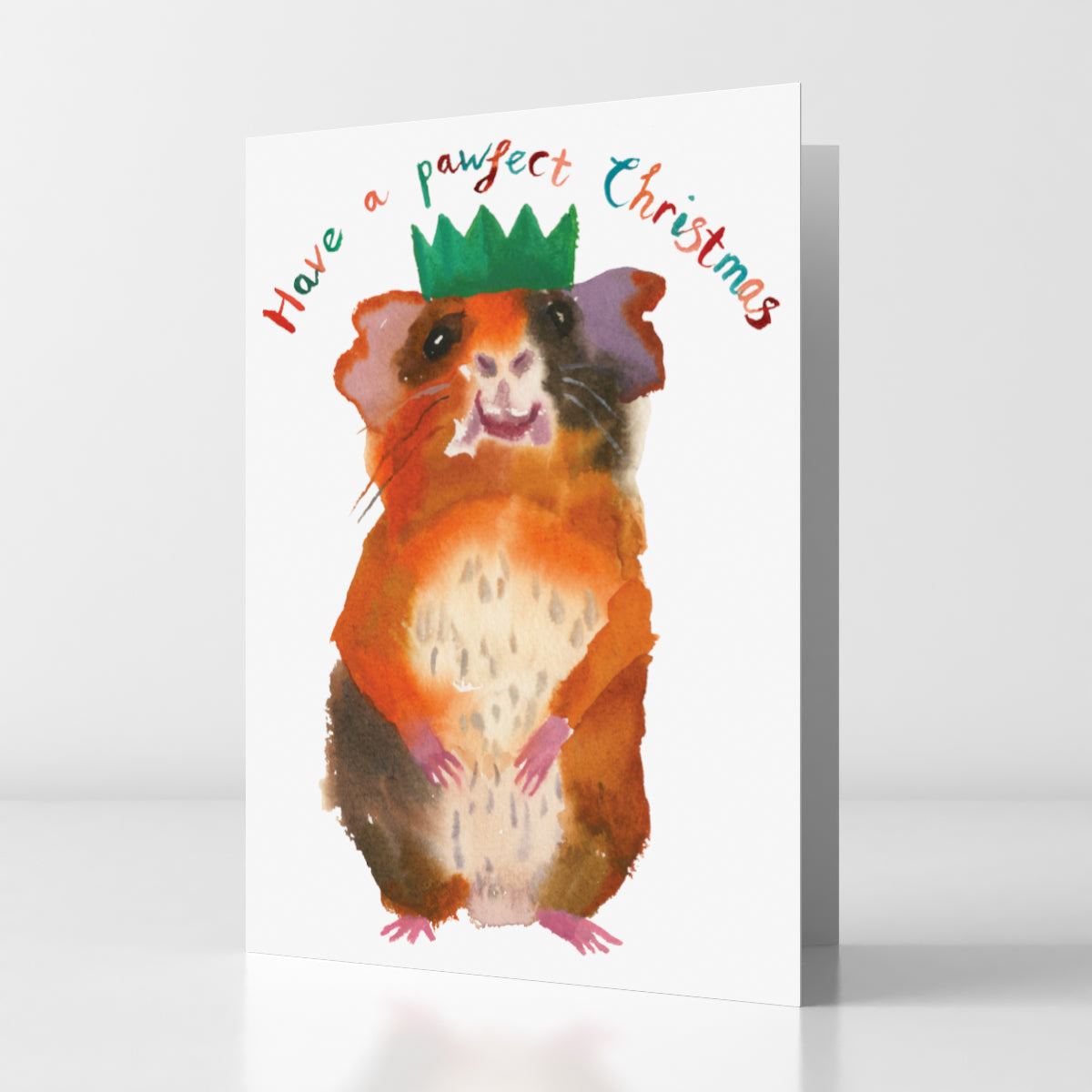 Pack of Five Christmas Cards 2024