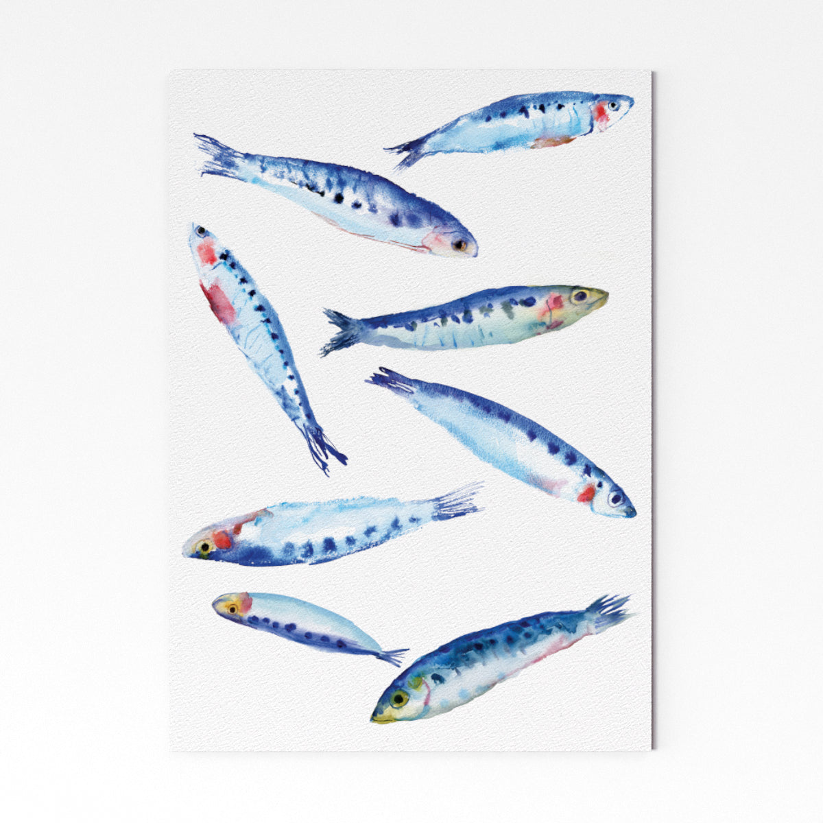 Sardines 2