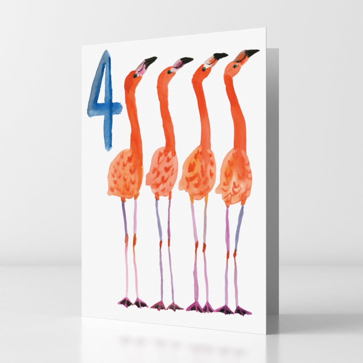 Four Year Flamingos