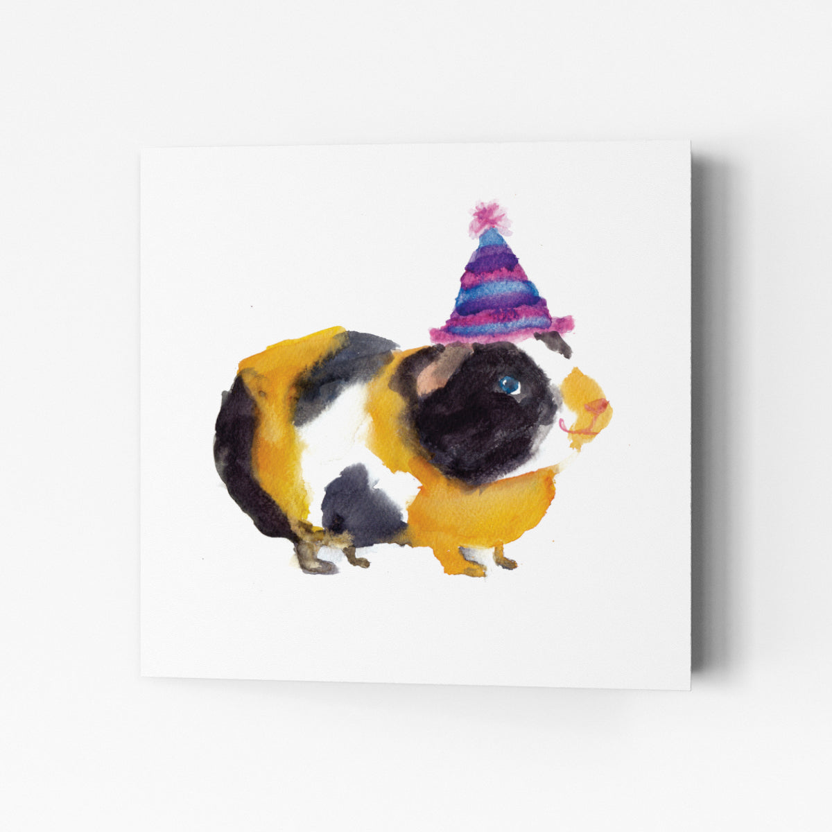 Party Guinea Pig